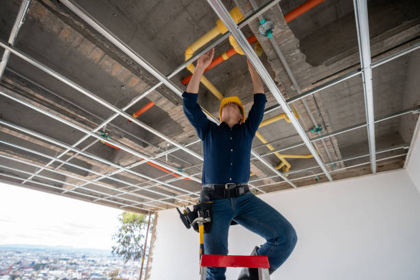 Best Plumbing Inspection Services  in Alton, TX