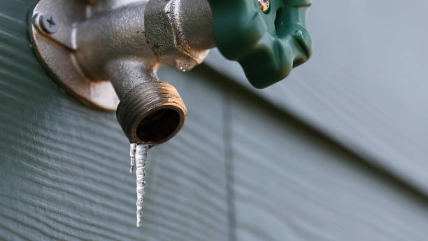 Best Sprinkler Systems  in Alton, TX