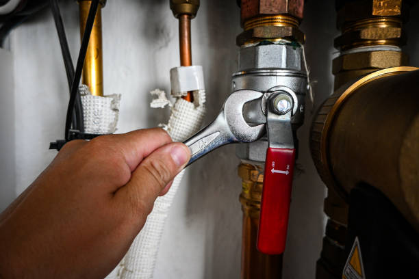 Best Emergency Plumber  in Alton, TX